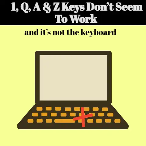 1, Q, A, and Z Keys Don't Seem To Work