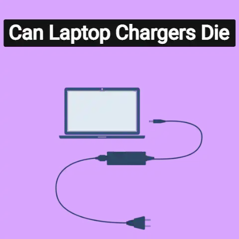 Can Laptop Chargers Die?