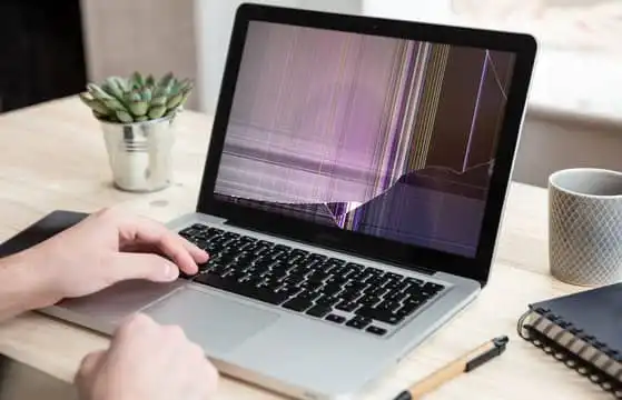 Damaged-video-card-or-monitor