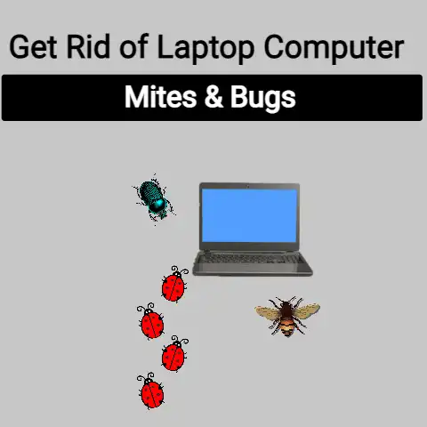 Get Rid of Laptop Computer Mites & Bugs