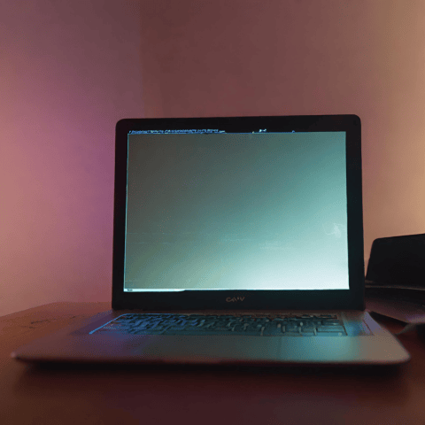 acer laptop screen broken Backlight On But No Screen Output