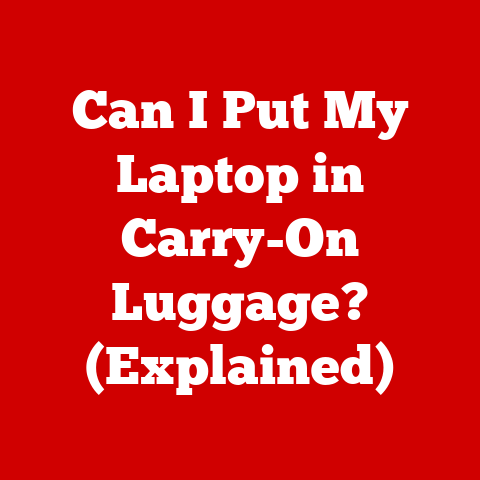 Can I Put My Laptop in Carry-On Luggage? (Explained)