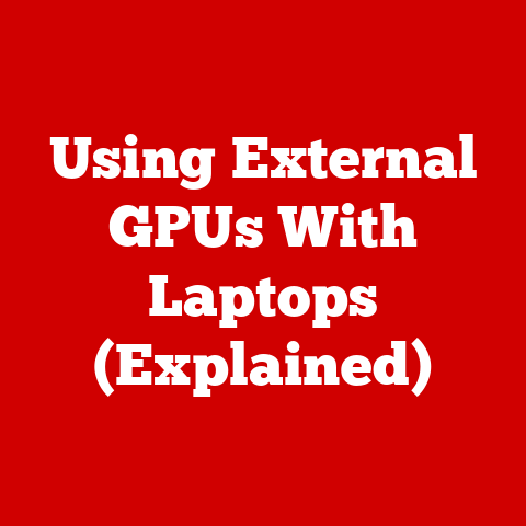 Using External GPUs With Laptops (Explained)