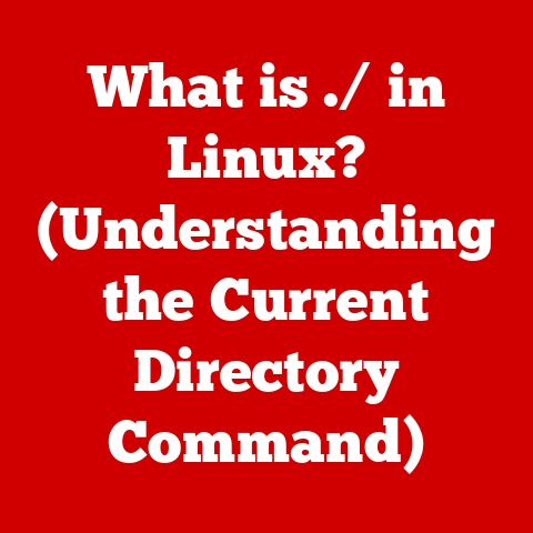 What is ./ in Linux? (Understanding the Current Directory Command)