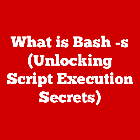 What is Bash -s (Unlocking Script Execution Secrets)