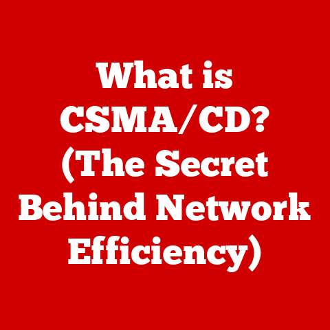 What is CSMA/CD? (The Secret Behind Network Efficiency)