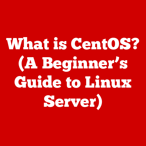 What is CentOS? (A Beginner’s Guide to Linux Server)
