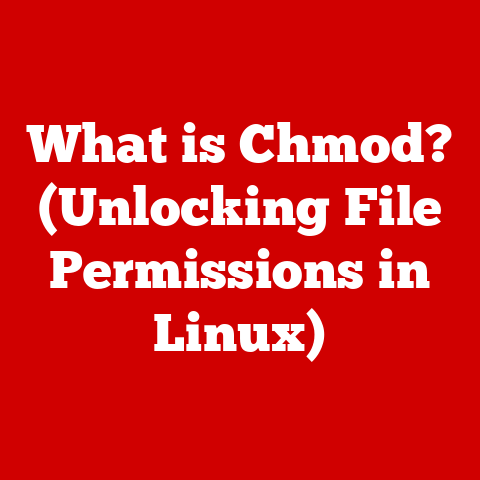 What is Chmod? (Unlocking File Permissions in Linux)