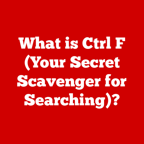 What is Ctrl F (Your Secret Scavenger for Searching)?