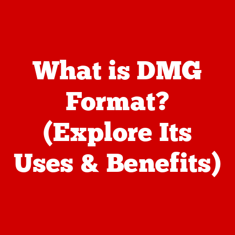 What is DMG Format? (Explore Its Uses & Benefits)