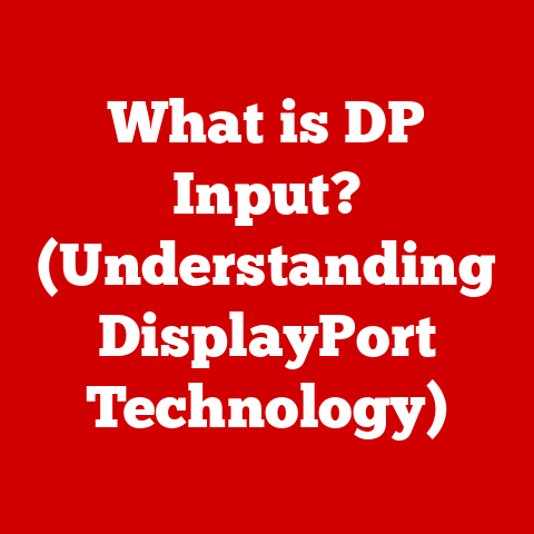 What is DP Input? (Understanding DisplayPort Technology)