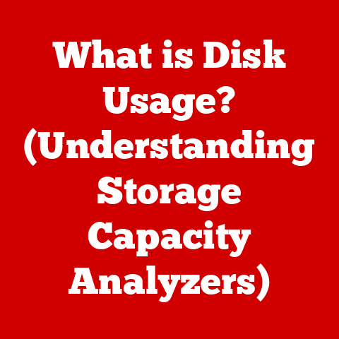 What is Disk Usage? (Understanding Storage Capacity Analyzers)