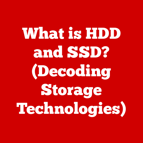 What is HDD and SSD? (Decoding Storage Technologies)
