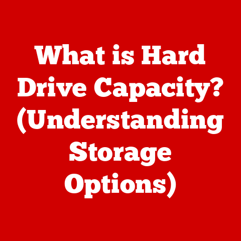 What is Hard Drive Capacity? (Understanding Storage Options)