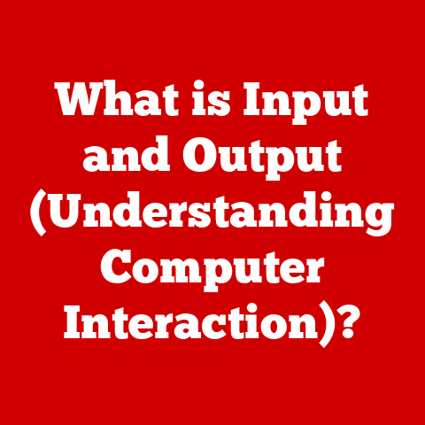 What is Input and Output (Understanding Computer Interaction)?