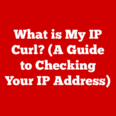What is My IP Curl? (A Guide to Checking Your IP Address)