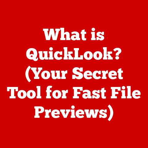 What is QuickLook? (Your Secret Tool for Fast File Previews)