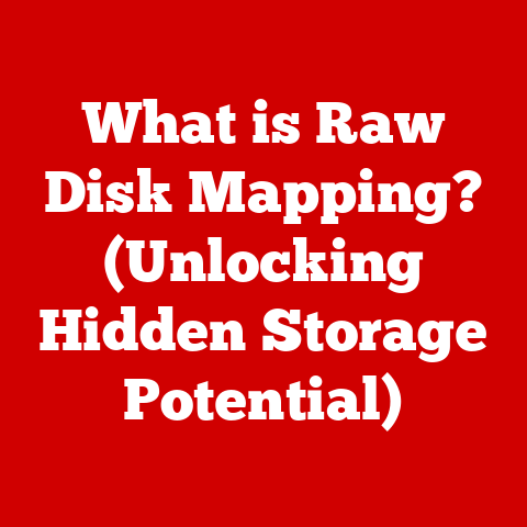 What is Raw Disk Mapping? (Unlocking Hidden Storage Potential)