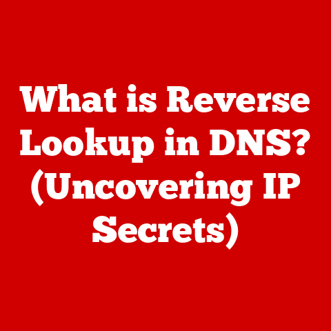 What is Reverse Lookup in DNS? (Uncovering IP Secrets)