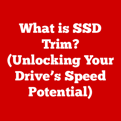 What is SSD Trim? (Unlocking Your Drive’s Speed Potential)