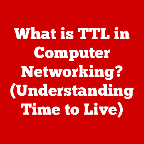 What is TTL in Computer Networking? (Understanding Time to Live)