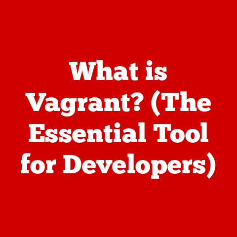 What is Vagrant? (The Essential Tool for Developers)