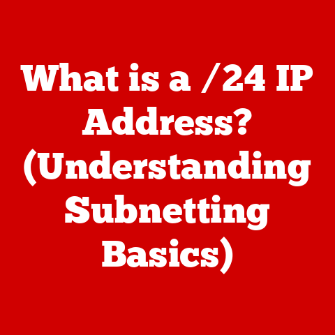 What is a /24 IP Address? (Understanding Subnetting Basics)
