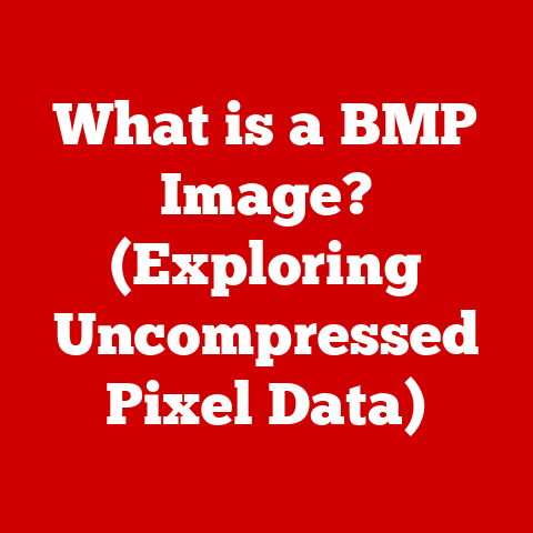 What is a BMP Image? (Exploring Uncompressed Pixel Data)