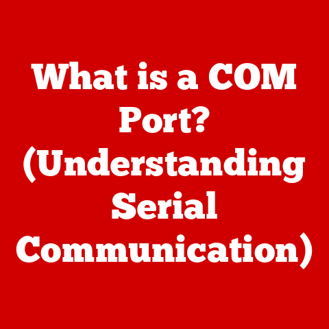 What is a COM Port? (Understanding Serial Communication)