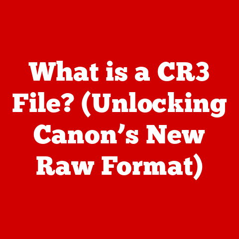 What is a CR3 File? (Unlocking Canon’s New Raw Format)