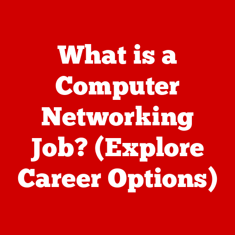 What is a Computer Networking Job? (Explore Career Options)