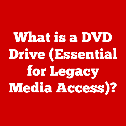 What is a DVD Drive (Essential for Legacy Media Access)?