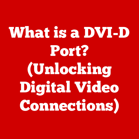 What is a DVI-D Port? (Unlocking Digital Video Connections)