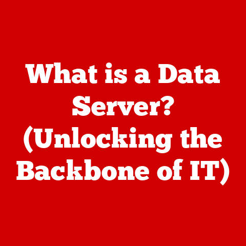 What is a Data Server? (Unlocking the Backbone of IT)