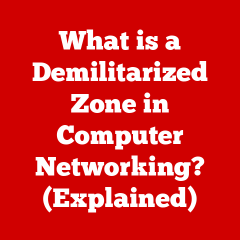 What is a Demilitarized Zone in Computer Networking? (Explained)