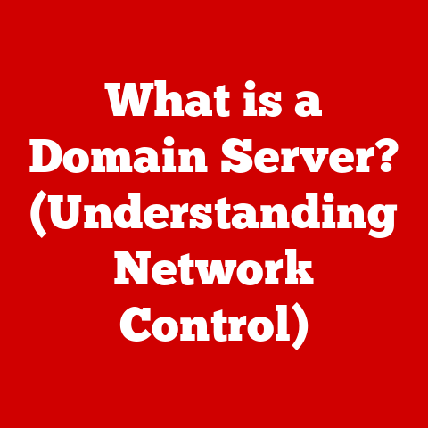 What is a Domain Server? (Understanding Network Control)