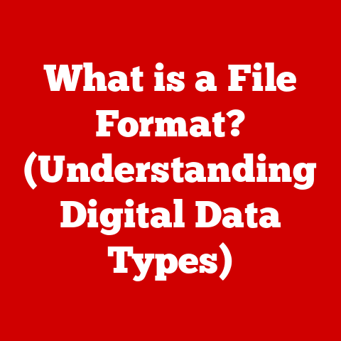 What is a File Format? (Understanding Digital Data Types)