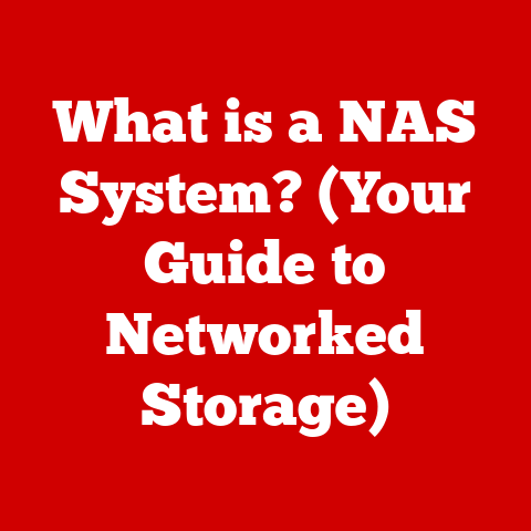 What is a NAS System? (Your Guide to Networked Storage)