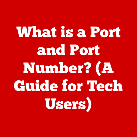 What is a Port and Port Number? (A Guide for Tech Users)