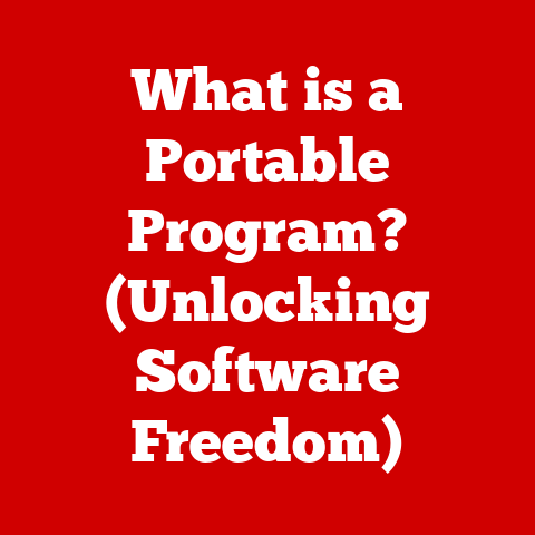 What is a Portable Program? (Unlocking Software Freedom)
