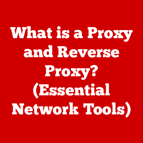 What is a Proxy and Reverse Proxy? (Essential Network Tools)