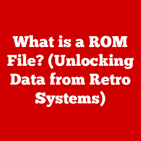 What is a ROM File? (Unlocking Data from Retro Systems)