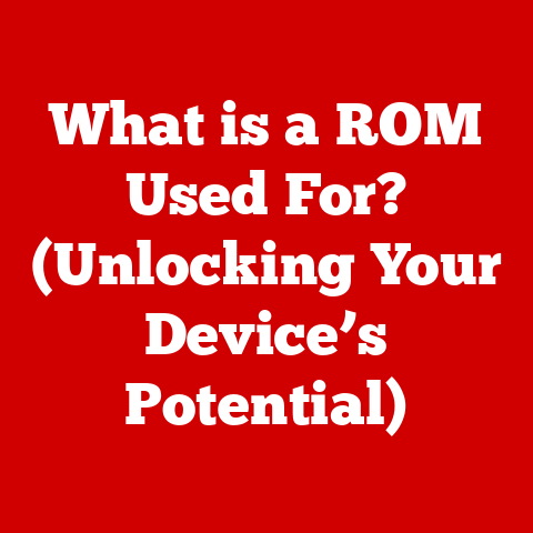 What is a ROM Used For? (Unlocking Your Device’s Potential)