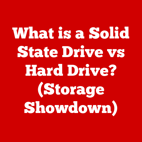What is a Solid State Drive vs Hard Drive? (Storage Showdown)