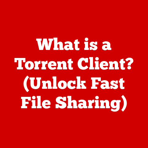What is a Torrent Client? (Unlock Fast File Sharing)