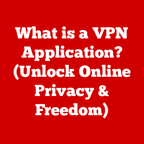 What is a VPN Application? (Unlock Online Privacy & Freedom)