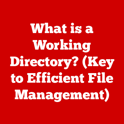 What is a Working Directory? (Key to Efficient File Management)