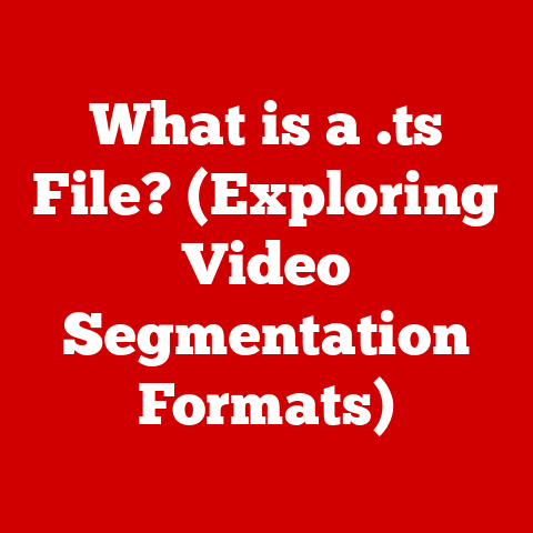 What is a .ts File? (Exploring Video Segmentation Formats)