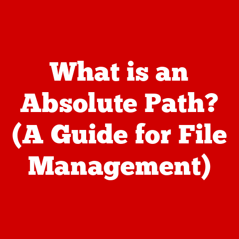 What is an Absolute Path? (A Guide for File Management)