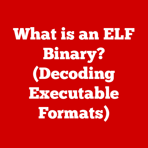 What is an ELF Binary? (Decoding Executable Formats)